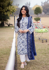 Asim Jofa D#3459